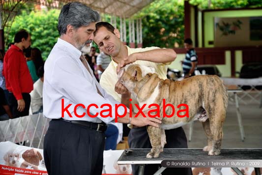 Clique sobre a foto para fechar